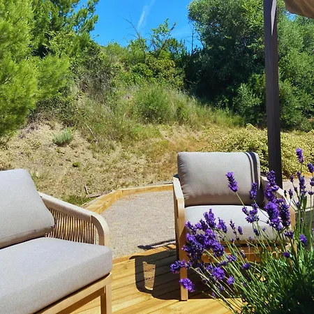 Les Hauts De La Pinede - Avec Piscine, Jacuzzi Et Boulodrome Privatifs
